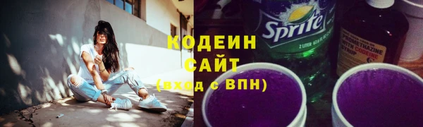 индика Заводоуковск