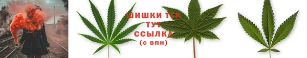 СК Заволжск