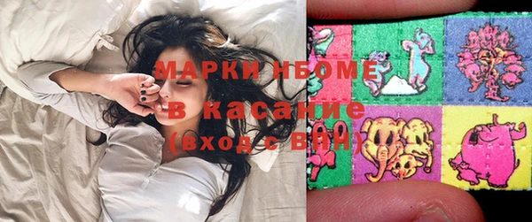 индика Заводоуковск