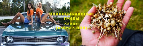 СК Заволжск