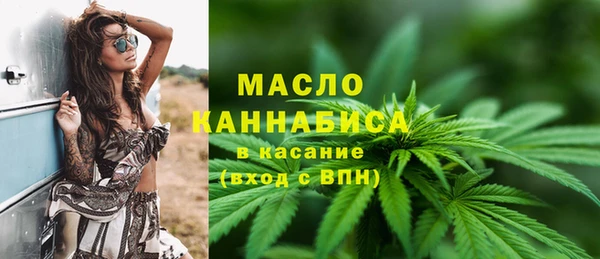 индика Заводоуковск