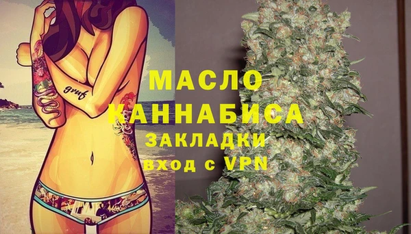 индика Заводоуковск