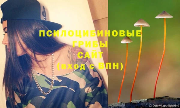 СК Заволжск